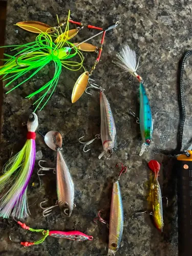 Pesca