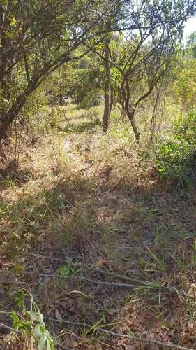 Chacaras em Pirenópolis 20.000 m²