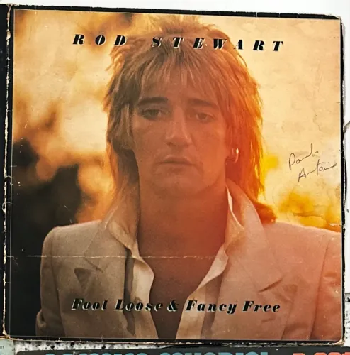 Disco vinil Rod Stewart