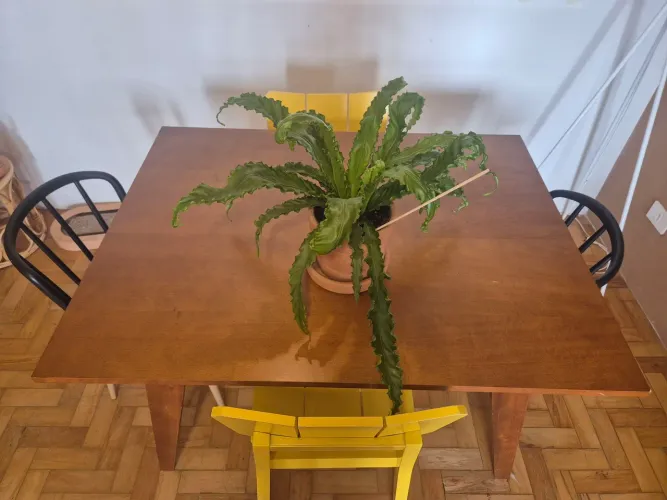 Mesa de 4 lugares