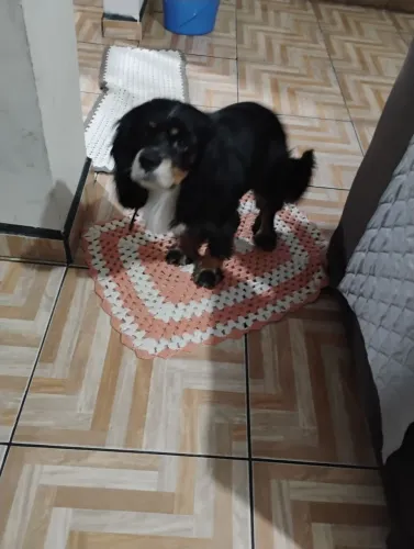 Linda fêmea disponível