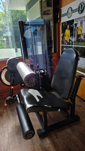 Cadeira extensora e flexora ajustfitness