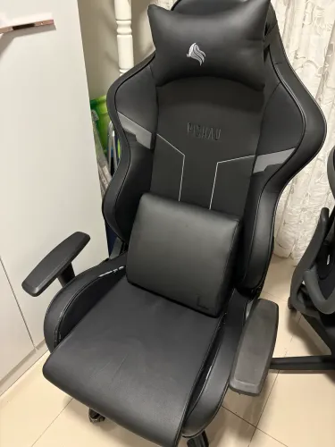 Cadeira Gamer Pichau Omega L Back