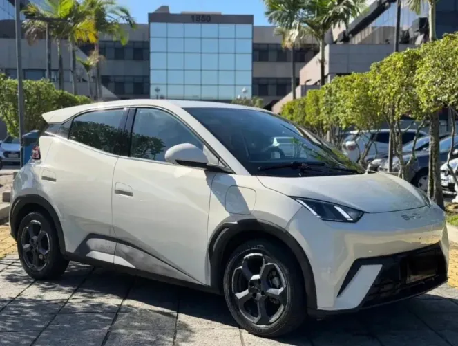 BYD Dolphin Mini (Elétrico) 2024