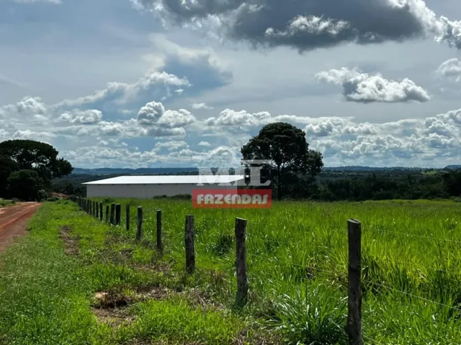 Fazenda Agrícola em Piraquê-TO. (342 Alqueires). Oeste do Tocantins