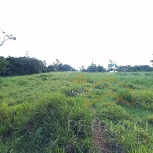 Terreno à venda, 23300 m² por R$ 1.250.000,00 - Sousas - Campinas/SP