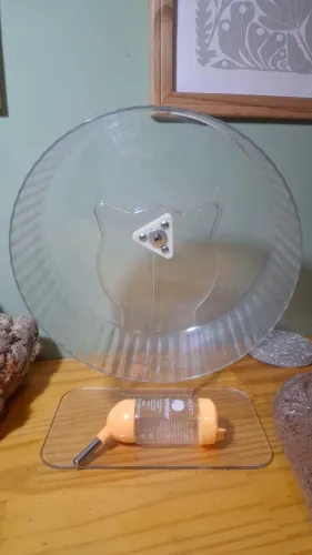 Kit para hamster