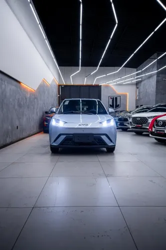 BYD Dolphin EV (Elétrico) 2027