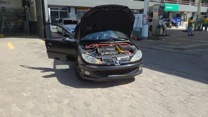 Peugeot 206 Techno/ Feline 1.6/ 1.6 Flex 16V 5P 2005