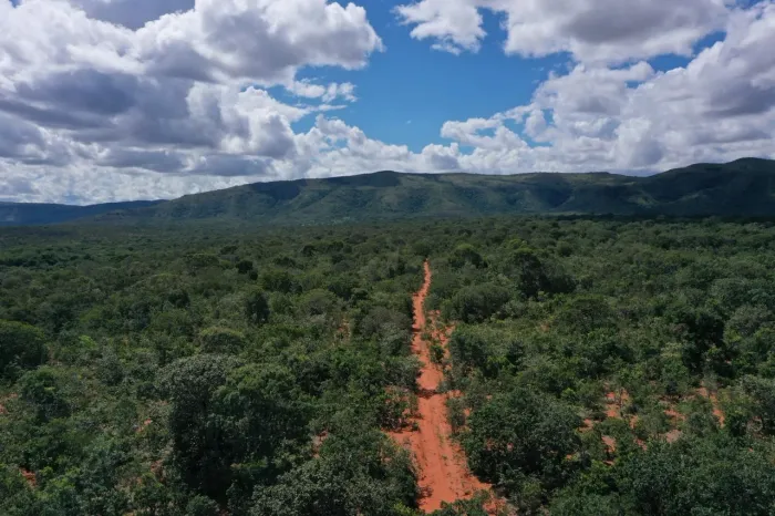 Fazenda Buritis de Minas 1560 hectares