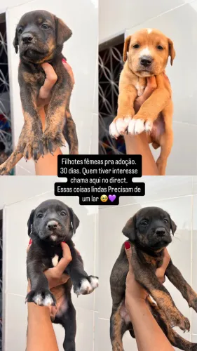 Doação