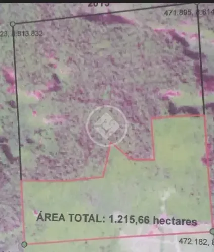 Fazenda à venda 1.210 ha | Juara/MT | 1.210 hectares codigo: 162161