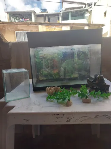 Aquário 22L + aquário 3L + decoração