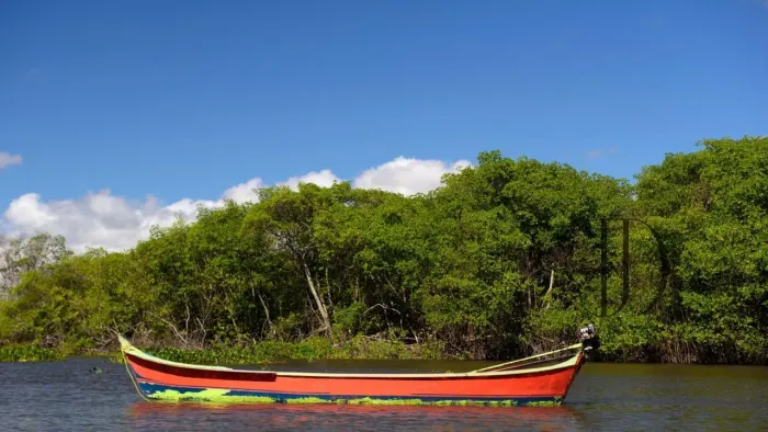 FAZENDA 15.000ha EM BARRA-BA: 10km DE RIO SÃO FRANCISCO E CONFINAMENTO MONTADO