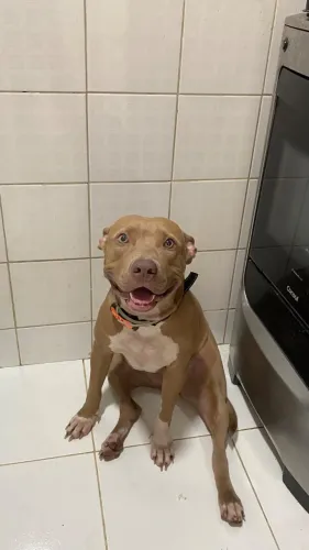 Doação responsável 