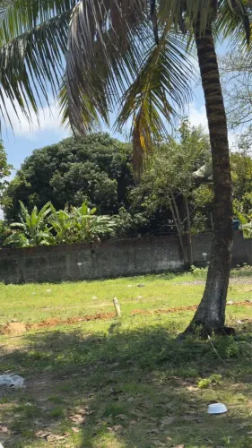 Terreno em ouro Preto Olinda