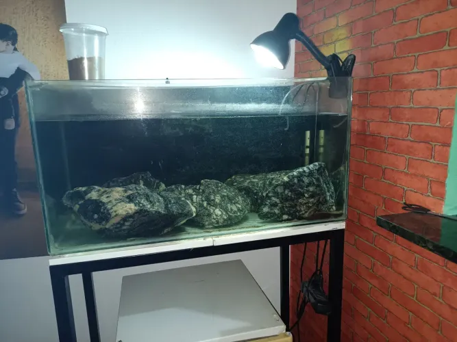 Aquário Completo Desapego
