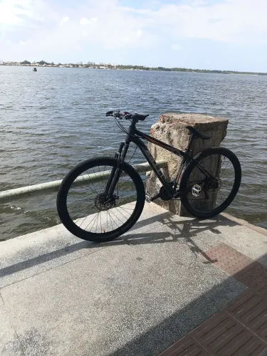 BIKE ARO 29