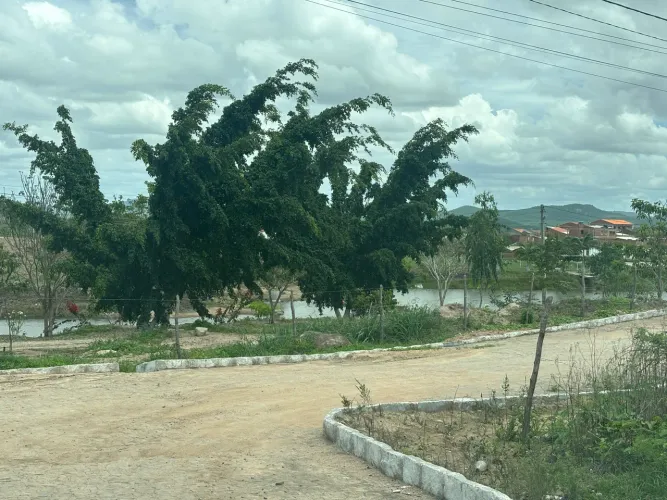 ((CM)) Alugo Terreno C/295m2 em Bezerros(próx ao centro)