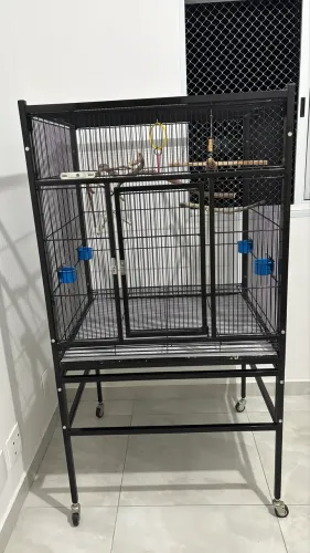 Viveiro para Calopsitas