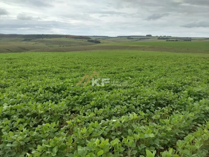 Fazenda a Venda no Triângulo Mineiro- Sacramento-MG