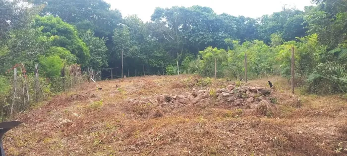 Vendo ou troco terreno