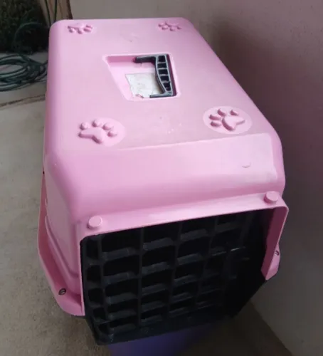 Transporte pet