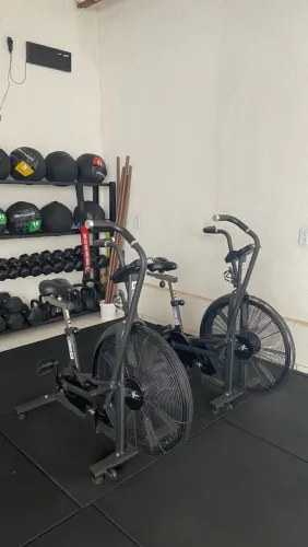 Echo Bike Classic