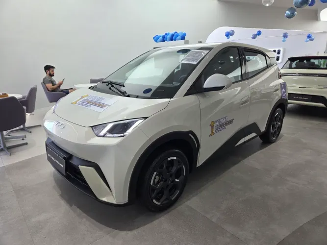 BYD Dolphin Mini (Elétrico) 2027