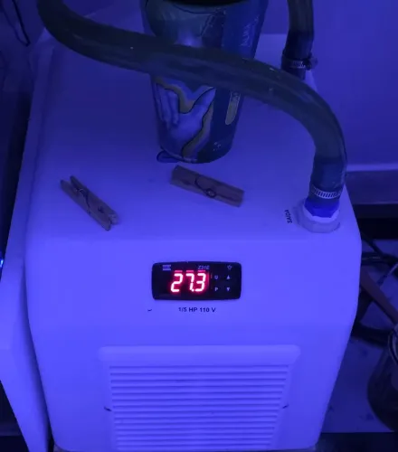 Chiller 1/5hp até 350l