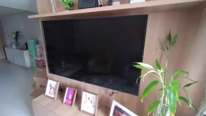 Tv LG 49 polegadas (não funciona)