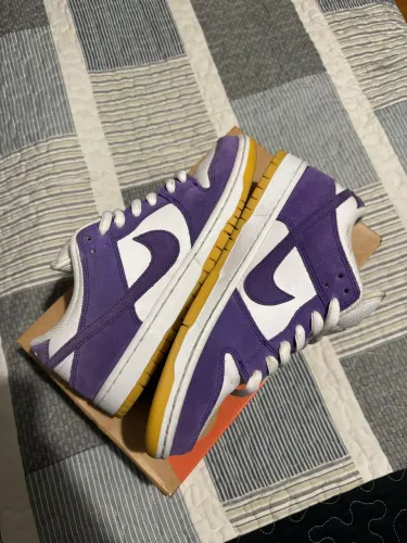 Nike dunk sb 