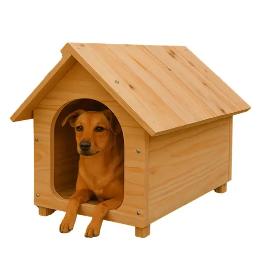 Casinha de cachorro 