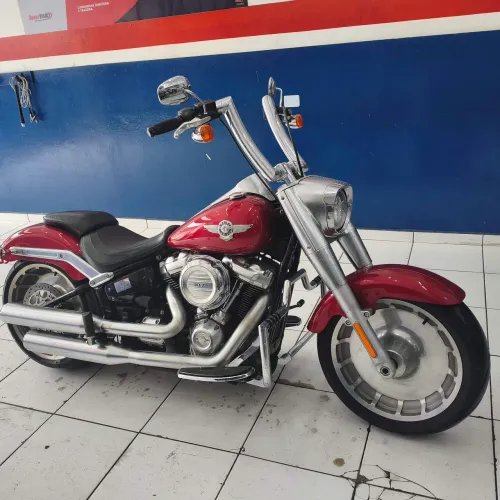 FATBOY 2019