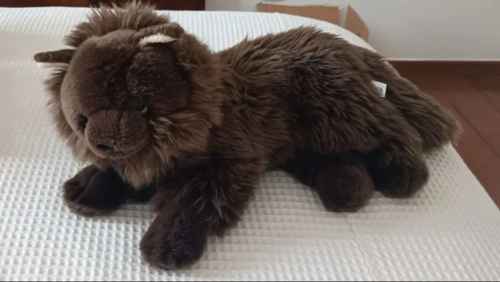 Gato de pelúcia 