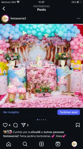 Alugo festas infantis, casamento e 15 anos