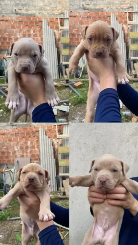 Pit monster 