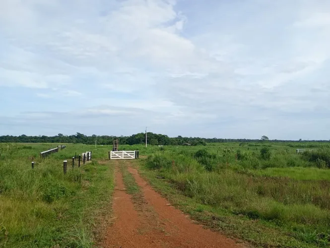 Excelente SITIO a venda seringueiras.
