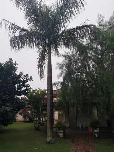 chácara de locação diaria