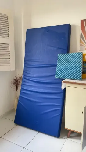 Cama ortopédica ect