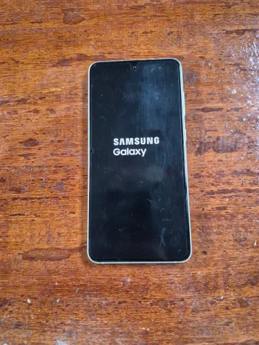 Celular Samsung S21 FE Impecável