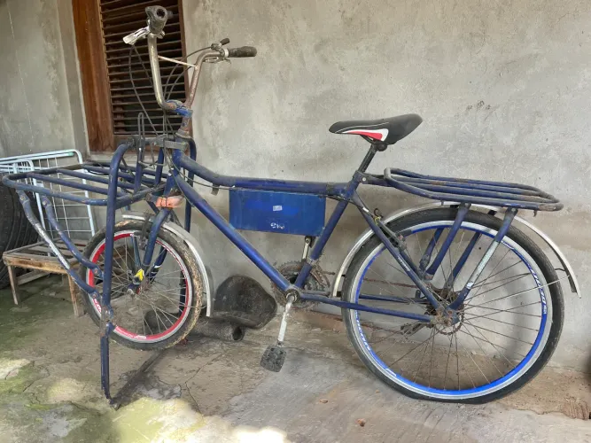 Bicicleta cargueira