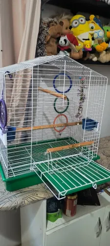 Gaiola de calopisita e suporte