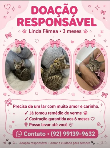Doação responsável