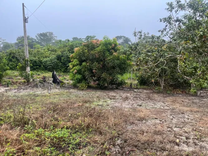VENDE-SE SITIO 