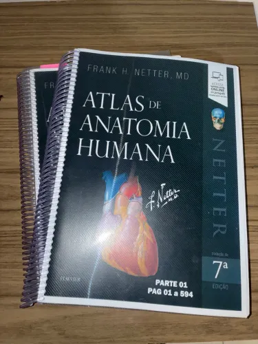 Livros de Anatomia - Atlas Netter 7° Edição 