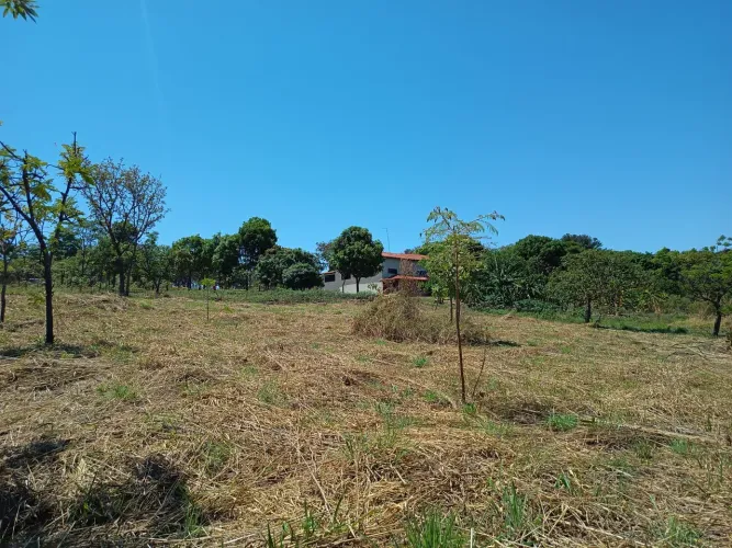 VENDO LOTE DE 6000M2 NA MA 15 PRÓXIMO A IGREJINHA , PONTE ALTA NORTE,