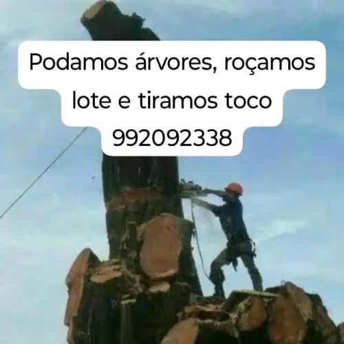Corte e poda de árvores