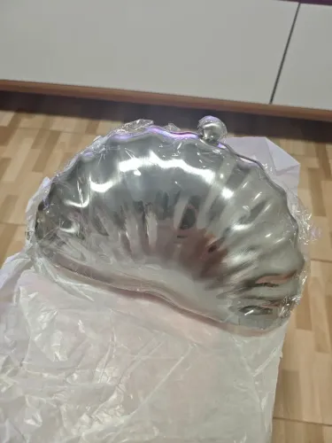 Bolsa da Arezzo nova (concha)
