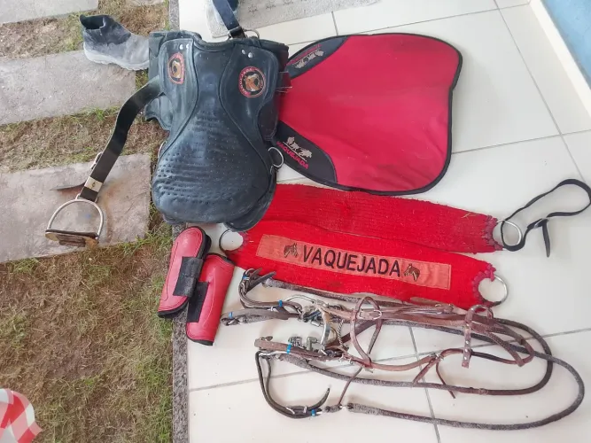 Cela em bom estado
